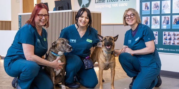IVC Evidensia launches unified UK brand